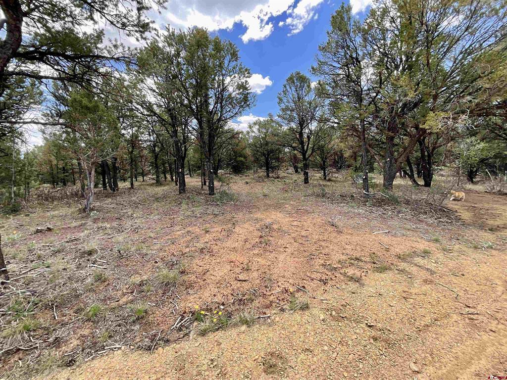 6101 County Road 1 Road Montrose CO 81403