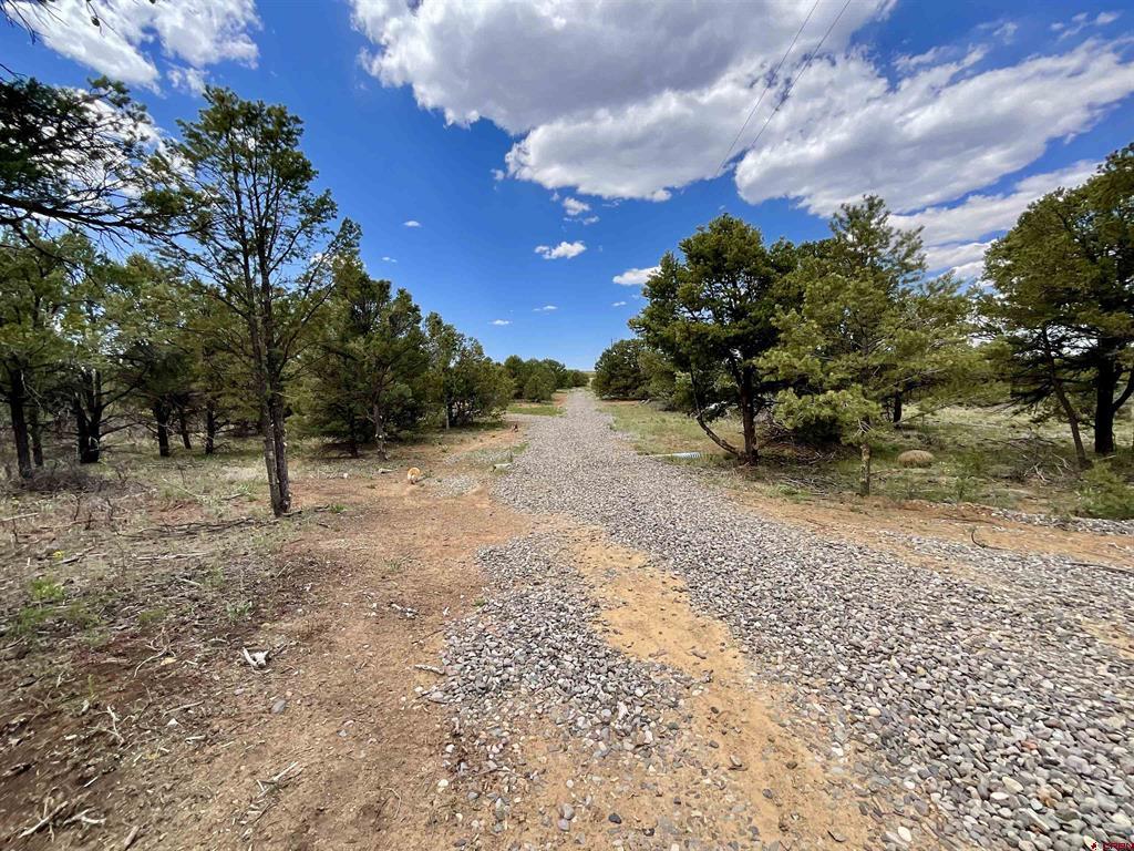 6101 County Road 1 Road Montrose CO 81403