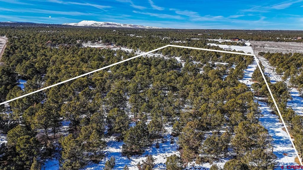 6101 County Road 1 Road Montrose CO 81403
