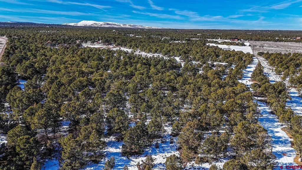 6101 County Road 1 Road Montrose CO 81403