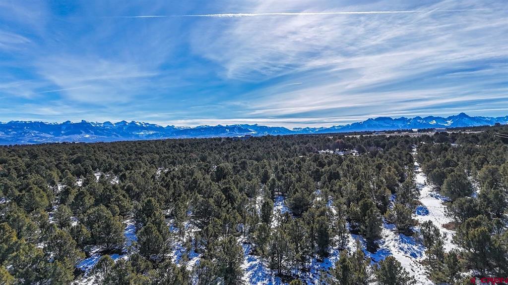 6101 County Road 1 Road Montrose CO 81403