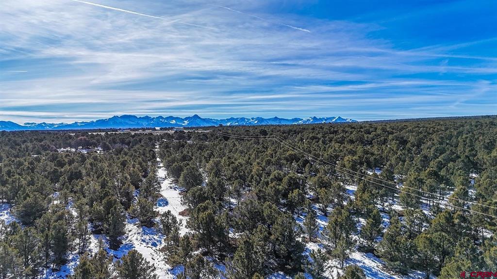 6101 County Road 1 Road Montrose CO 81403