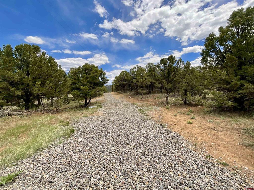 6101 County Road 1 Road Montrose CO 81403