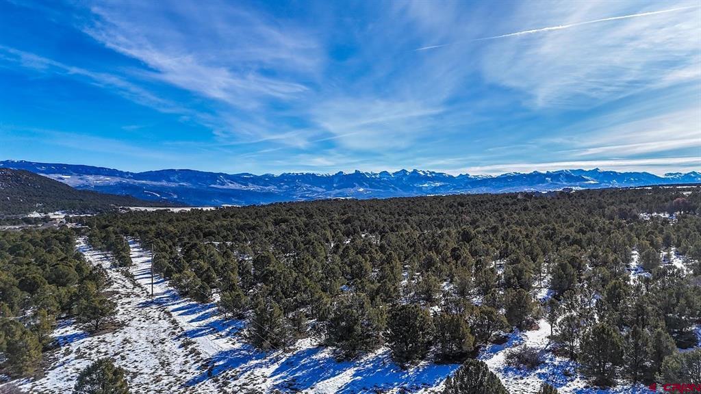 6101 County Road 1 Road Montrose CO 81403
