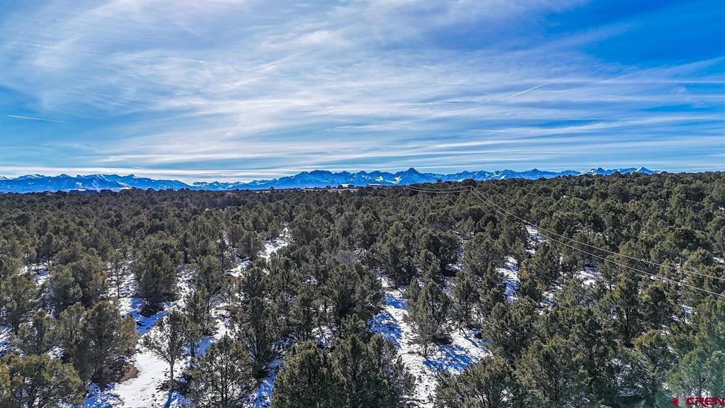 6101 County Road 1 Road Montrose CO 81403