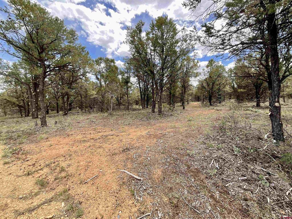 6101 County Road 1 Road Montrose CO 81403