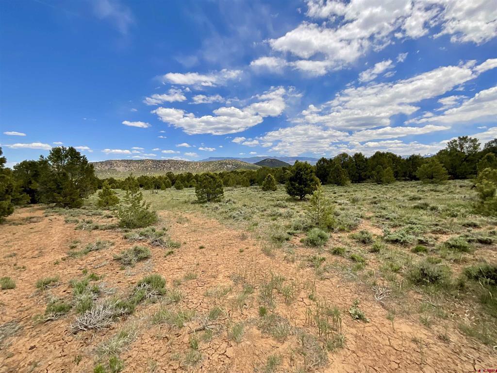 6101 County Road 1 Road Montrose CO 81403
