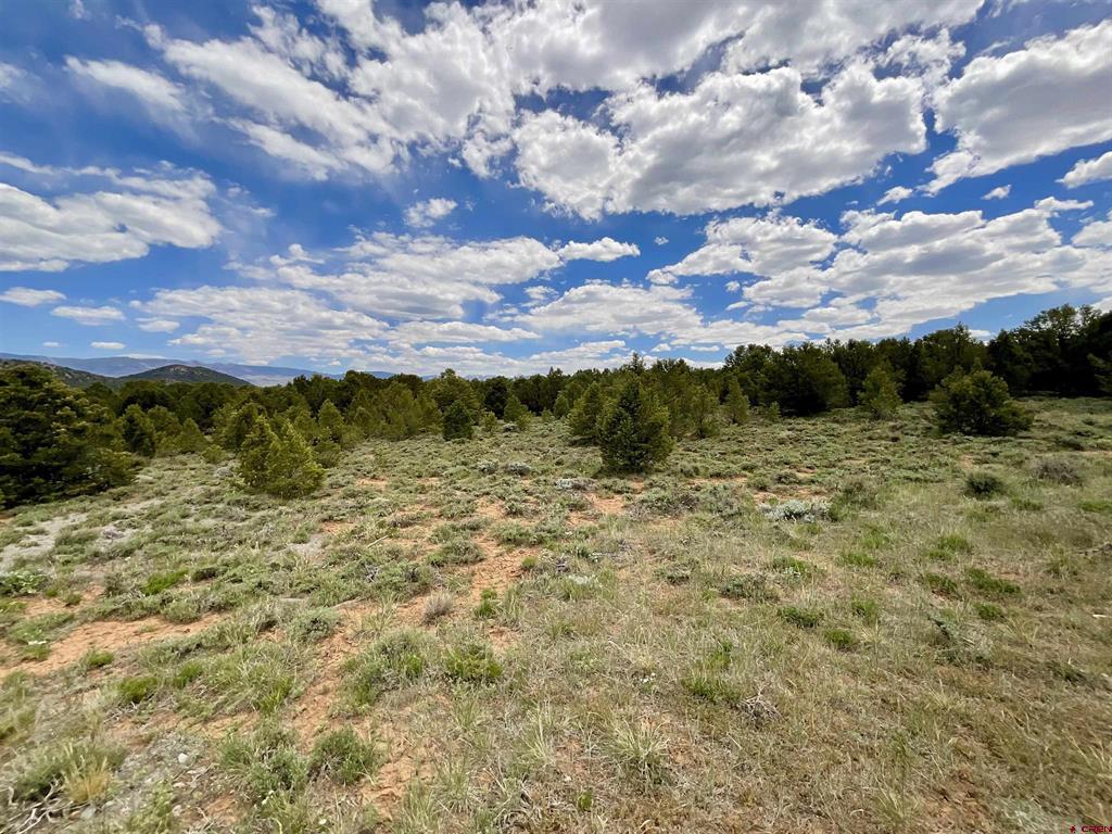 6101 County Road 1 Road Montrose CO 81403