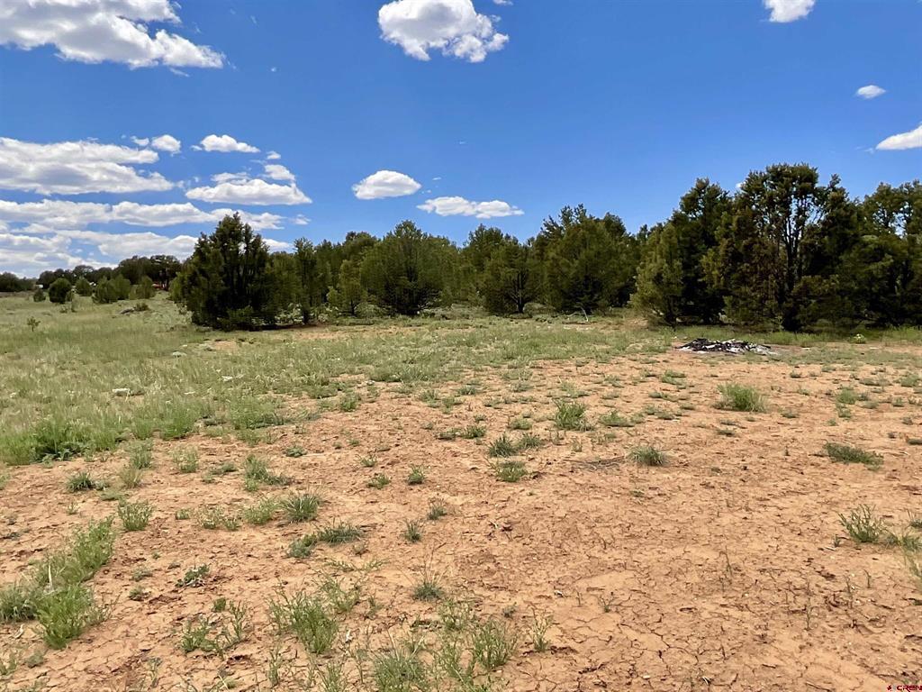6101 County Road 1 Road Montrose CO 81403