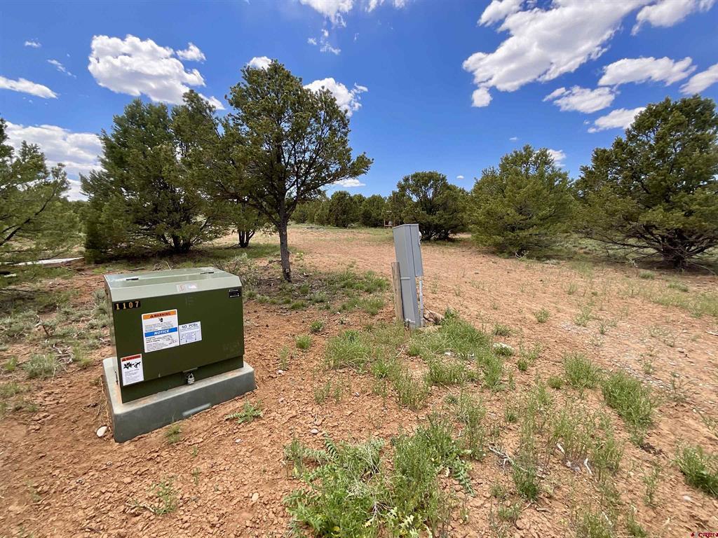 6101 County Road 1 Road Montrose CO 81403