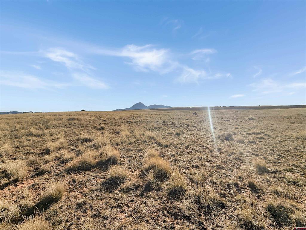 15600 Road 17 Cortez CO 81321