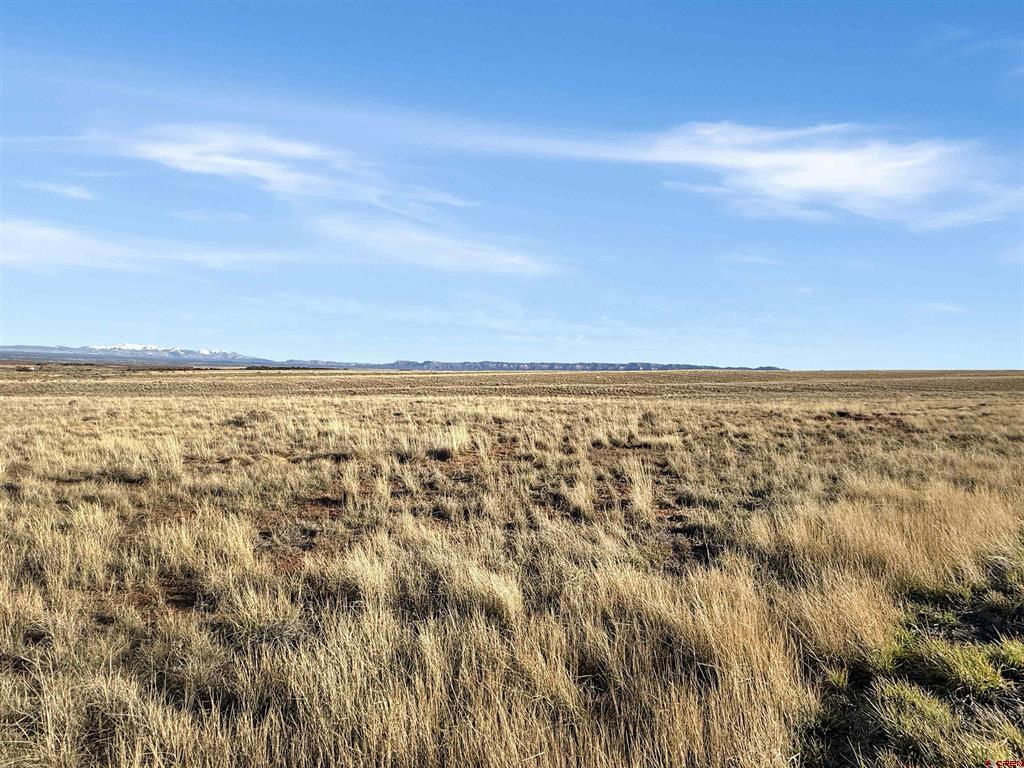 15600 Road 17 Cortez CO 81321