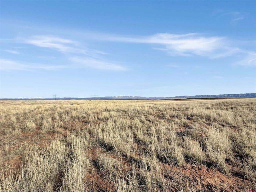 15600 Road 17 Cortez CO 81321