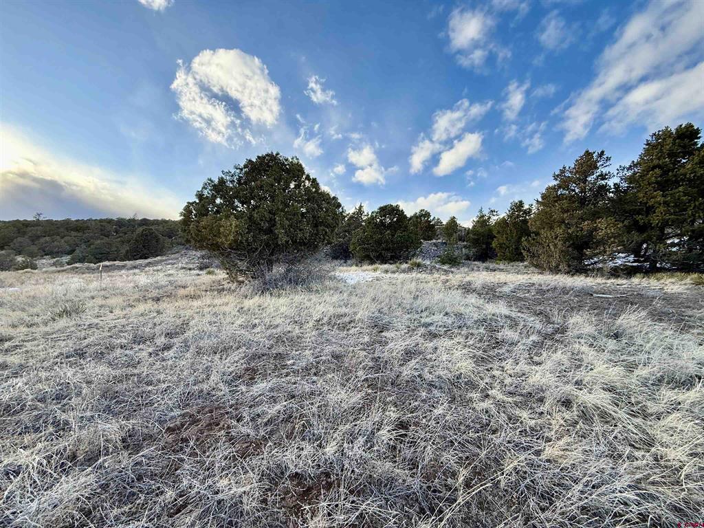74 Ann Way South Fork CO 81154