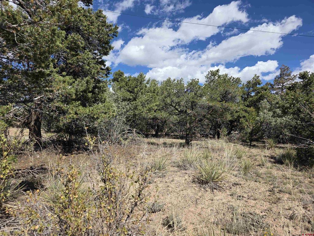 555 Arapaho Road South Fork CO 81154