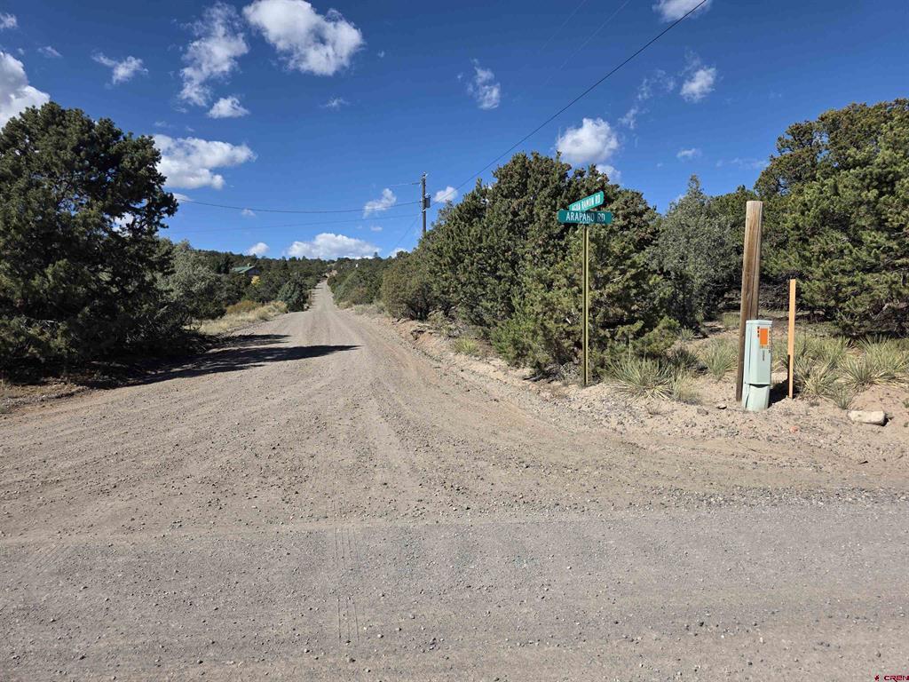 555 Arapaho Road South Fork CO 81154