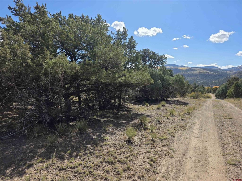 555 Arapaho Road South Fork CO 81154