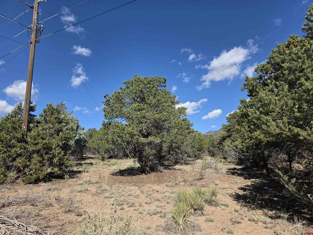 555 Arapaho Road South Fork CO 81154