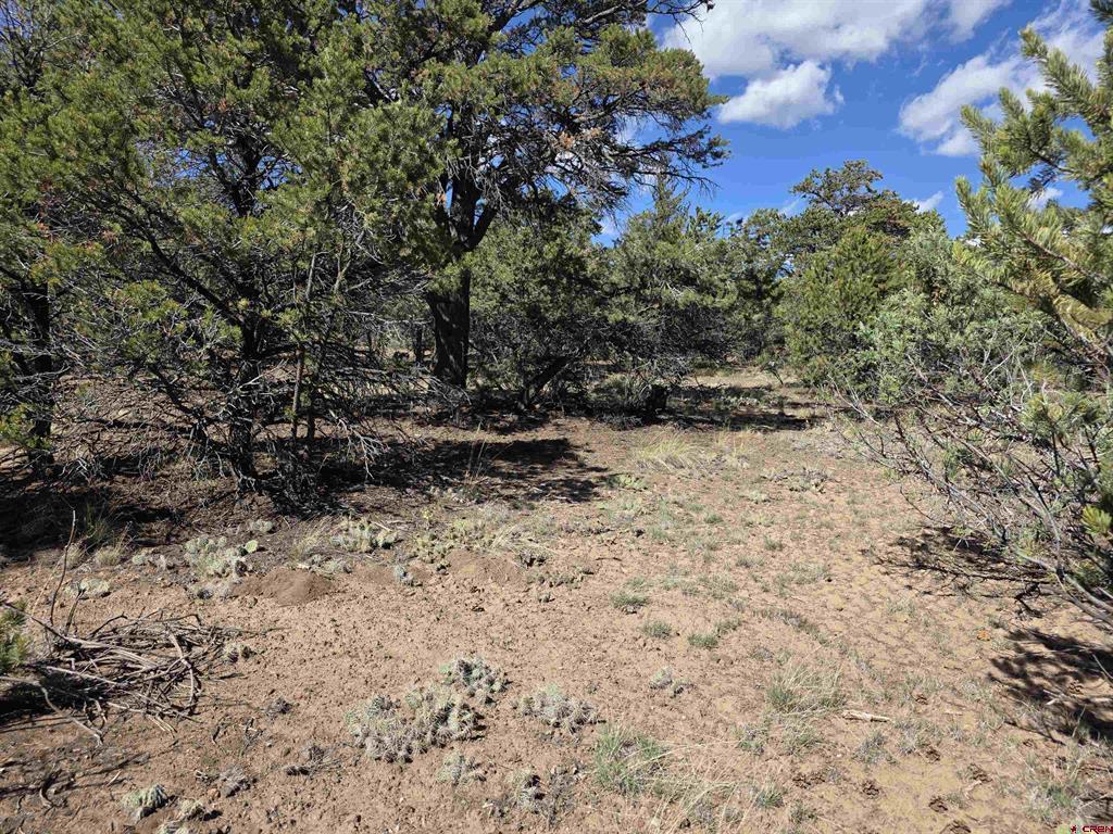555 Arapaho Road South Fork CO 81154