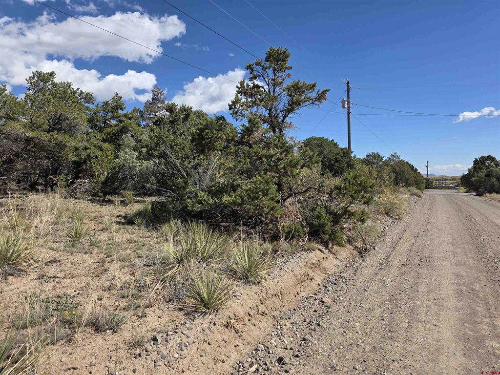 555 Arapaho Road South Fork CO 81154