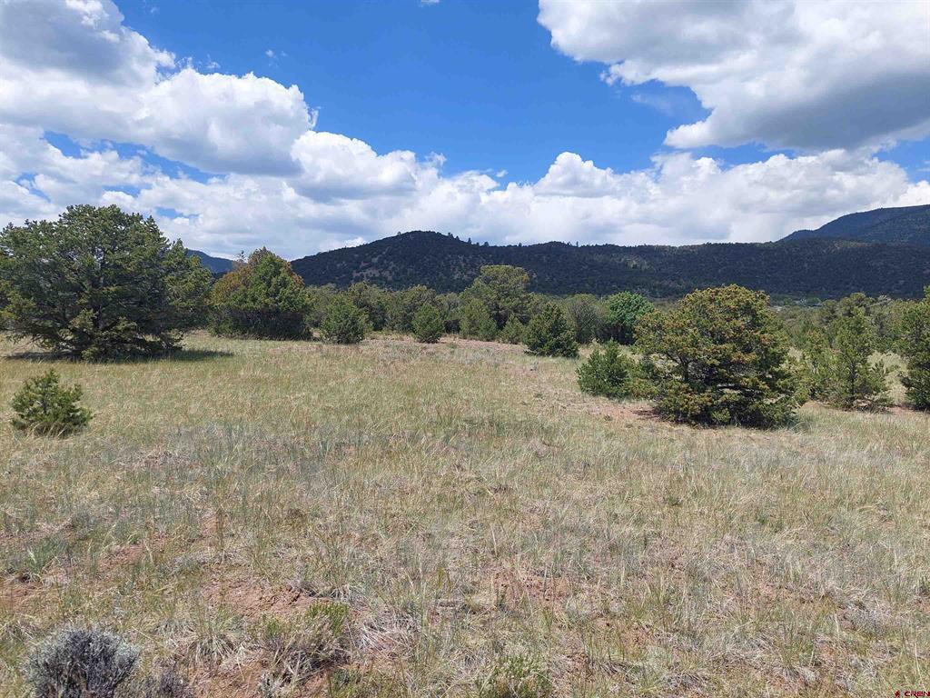 397 Rainbow Trail South Fork CO 81154
