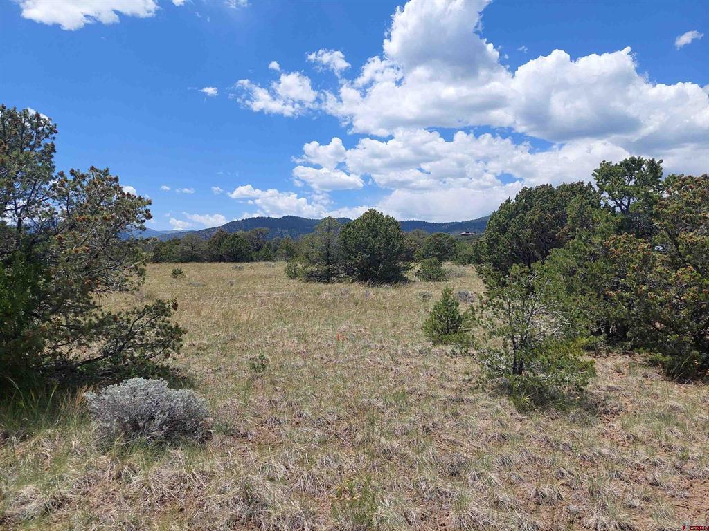 397 Rainbow Trail South Fork CO 81154