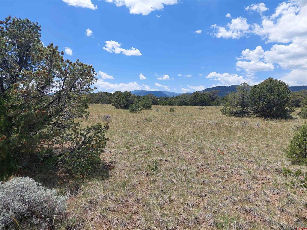 397 Rainbow Trail South Fork CO 81154