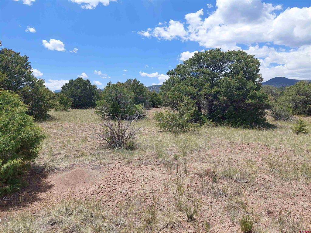 397 Rainbow Trail South Fork CO 81154