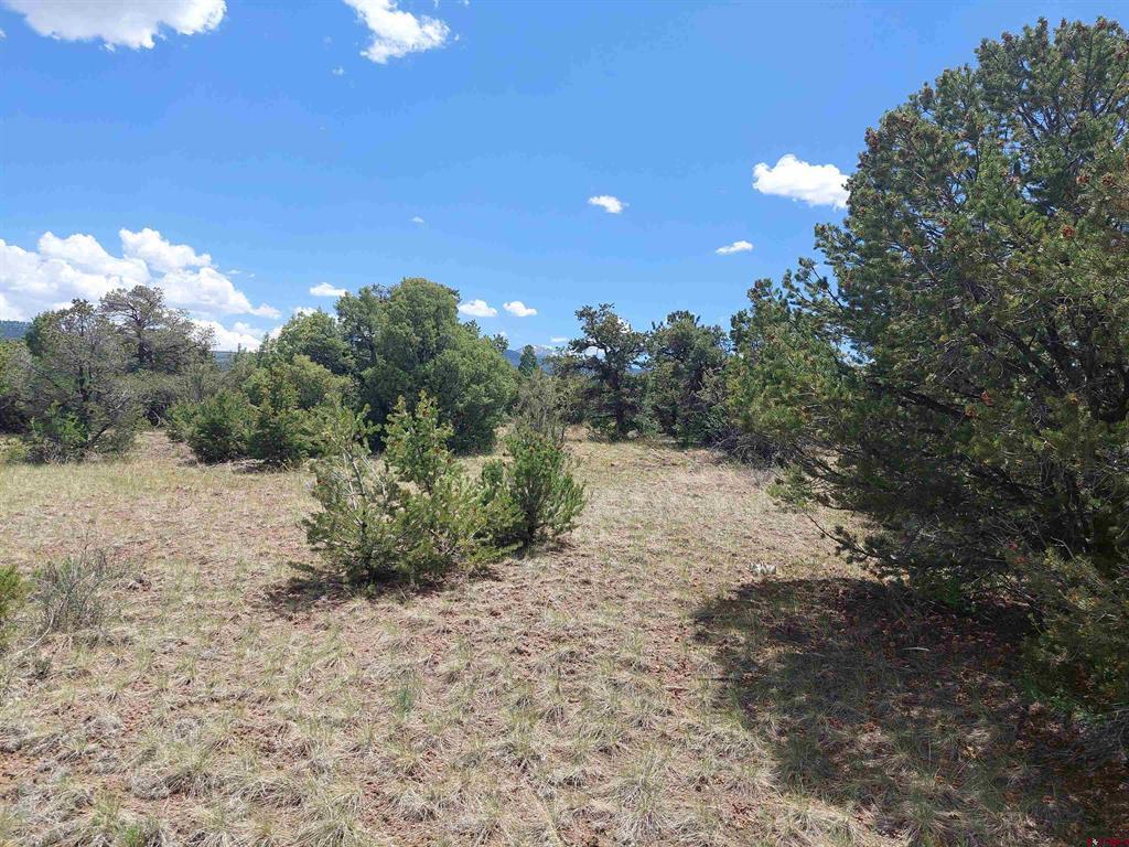397 Rainbow Trail South Fork CO 81154
