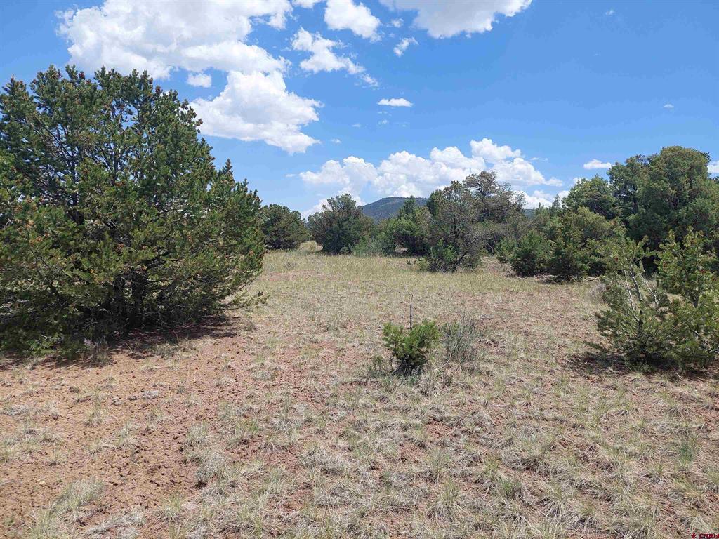 397 Rainbow Trail South Fork CO 81154