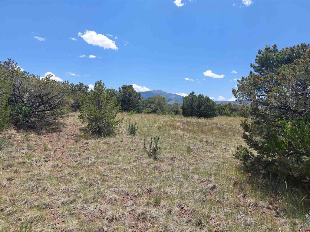 397 Rainbow Trail South Fork CO 81154