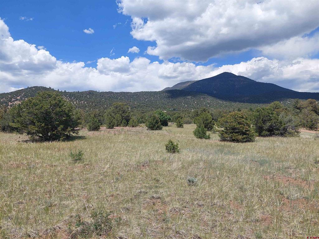 397 Rainbow Trail South Fork CO 81154