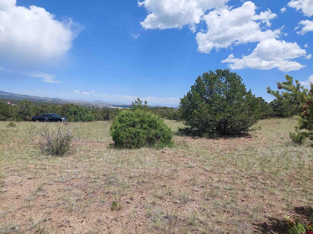 397 Rainbow Trail South Fork CO 81154