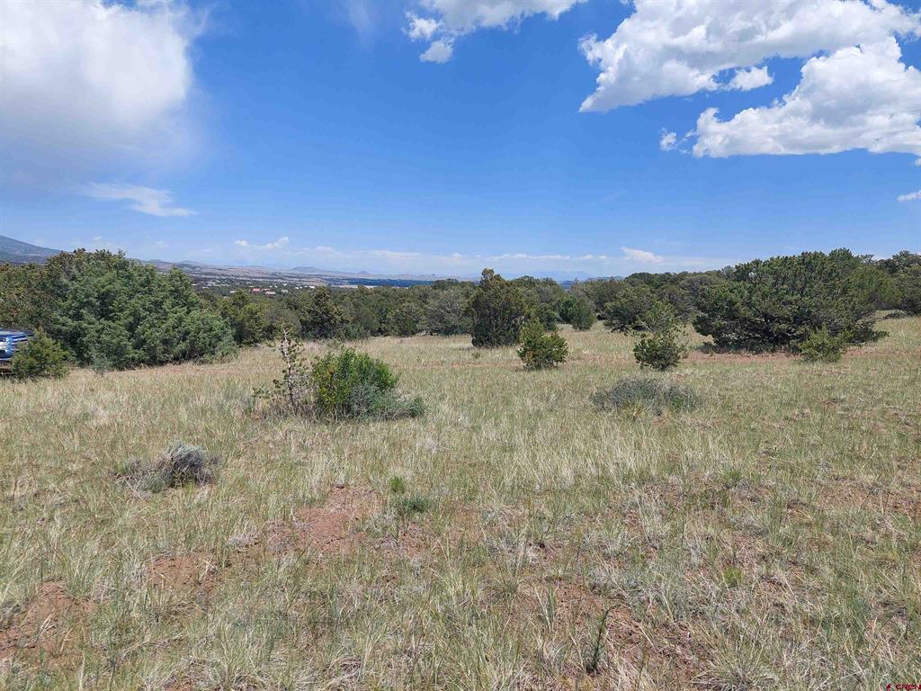 397 Rainbow Trail South Fork CO 81154