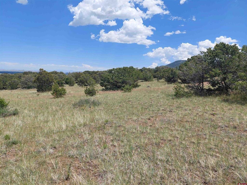 397 Rainbow Trail South Fork CO 81154