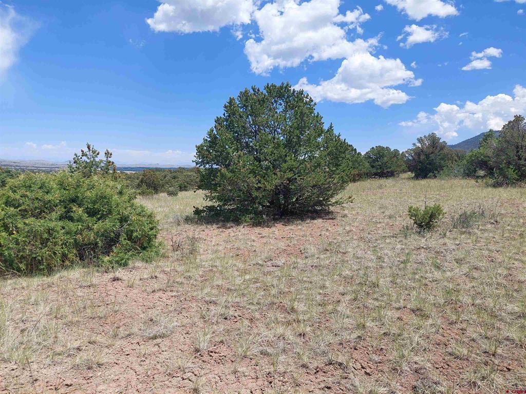 397 Rainbow Trail South Fork CO 81154