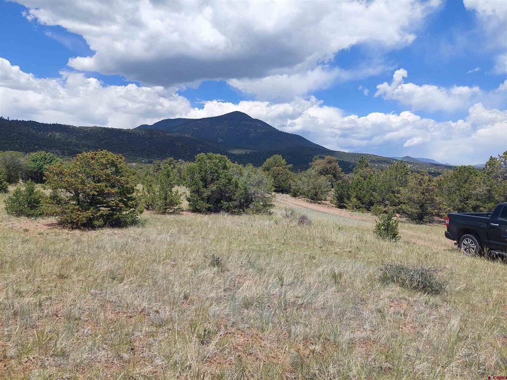 397 Rainbow Trail South Fork CO 81154