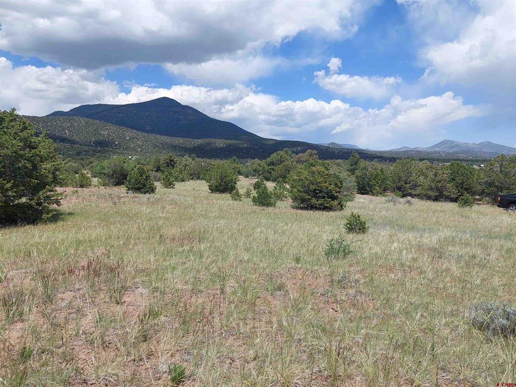 397 Rainbow Trail South Fork CO 81154