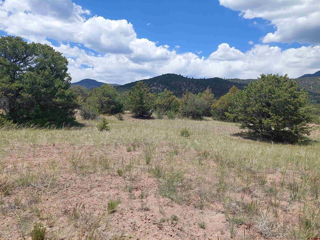 397 Rainbow Trail South Fork CO 81154