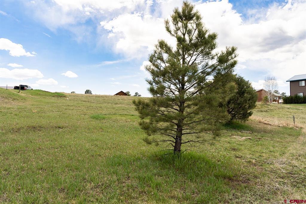 84 Grey Rock Court Pagosa Springs CO 81147