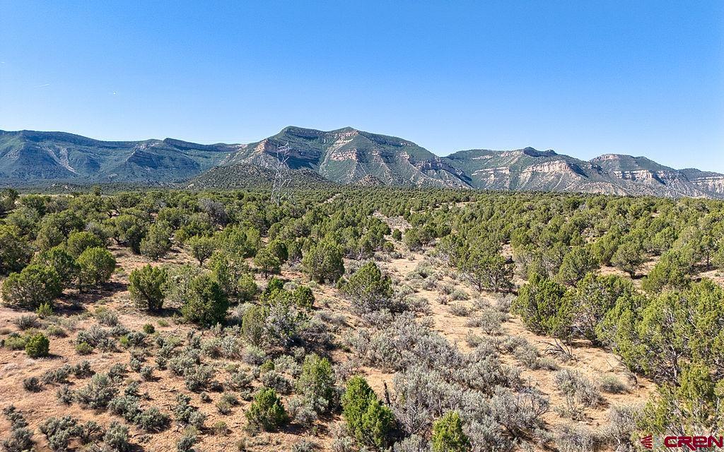 Tbd Road F Cortez CO 81321