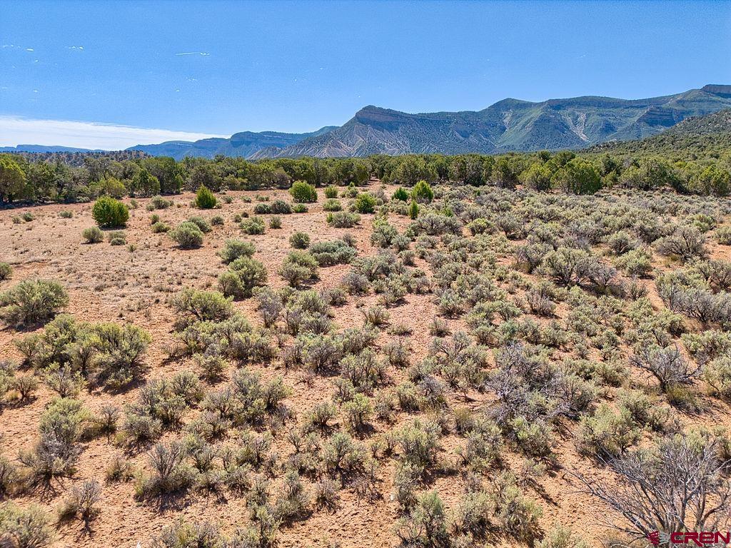Tbd Road F Cortez CO 81321