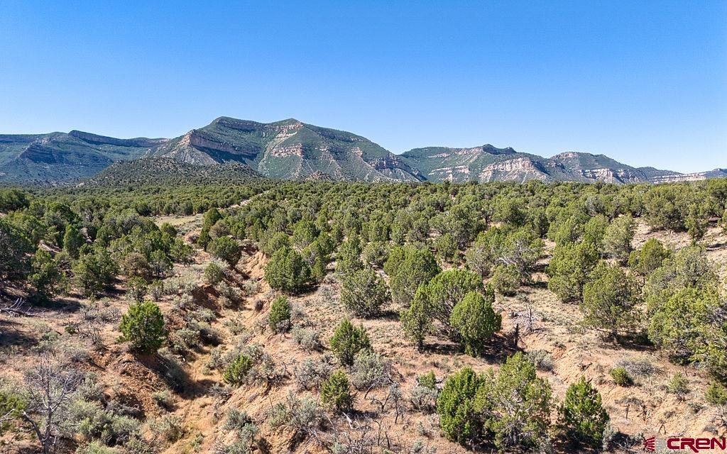 Tbd Road F Cortez CO 81321