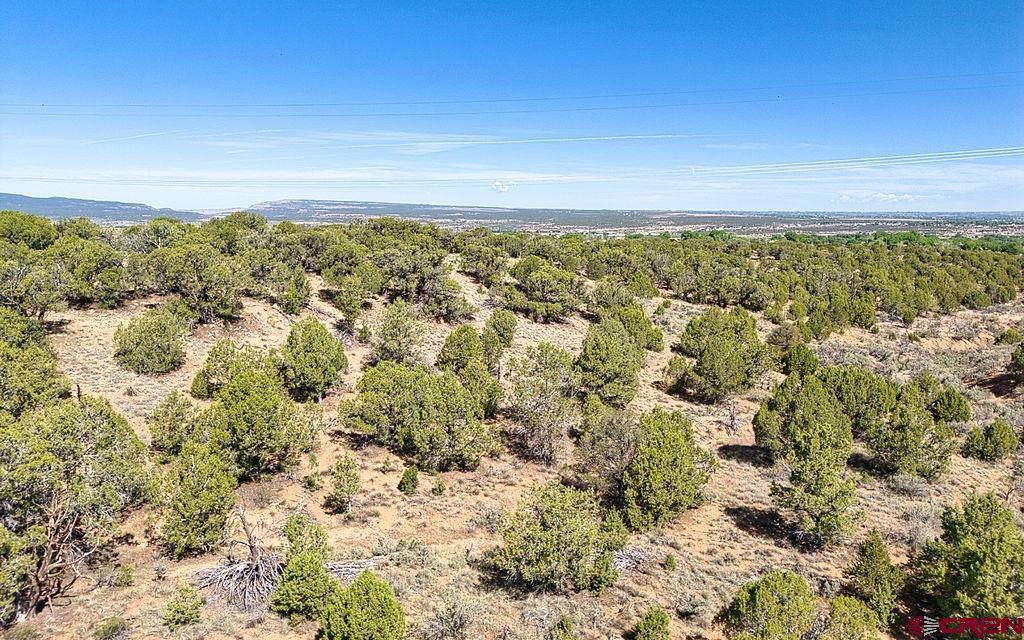 Tbd Road F Cortez CO 81321