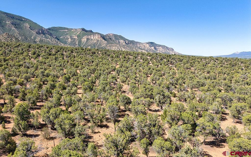 Tbd Road F Cortez CO 81321