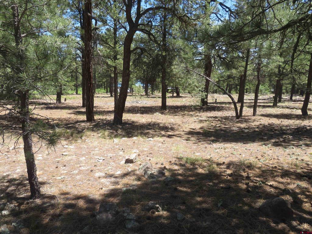500 Coronado Circle Pagosa Springs CO 81147