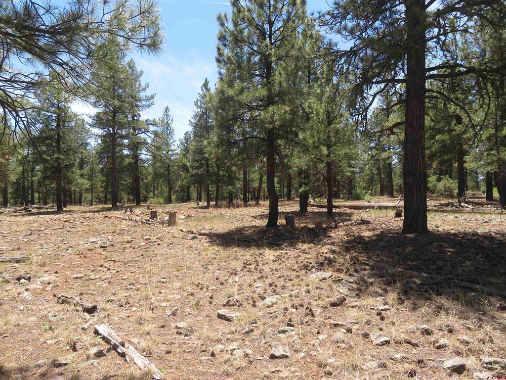 500 Coronado Circle Pagosa Springs CO 81147