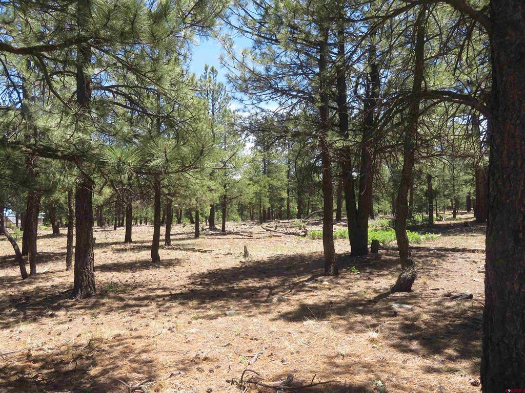 500 Coronado Circle Pagosa Springs CO 81147
