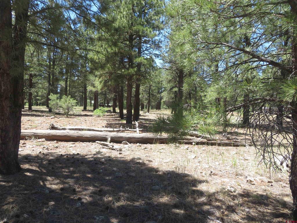 500 Coronado Circle Pagosa Springs CO 81147