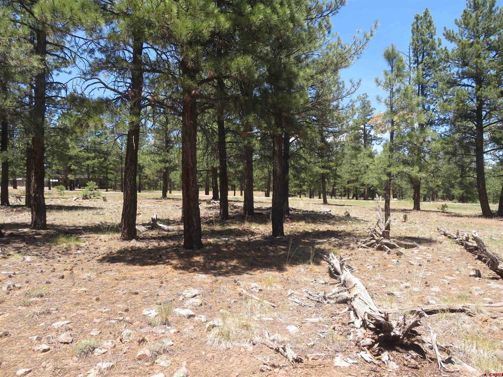 500 Coronado Circle Pagosa Springs CO 81147